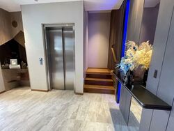 Belgravia Ace (D28), Semi-Detached #578434041